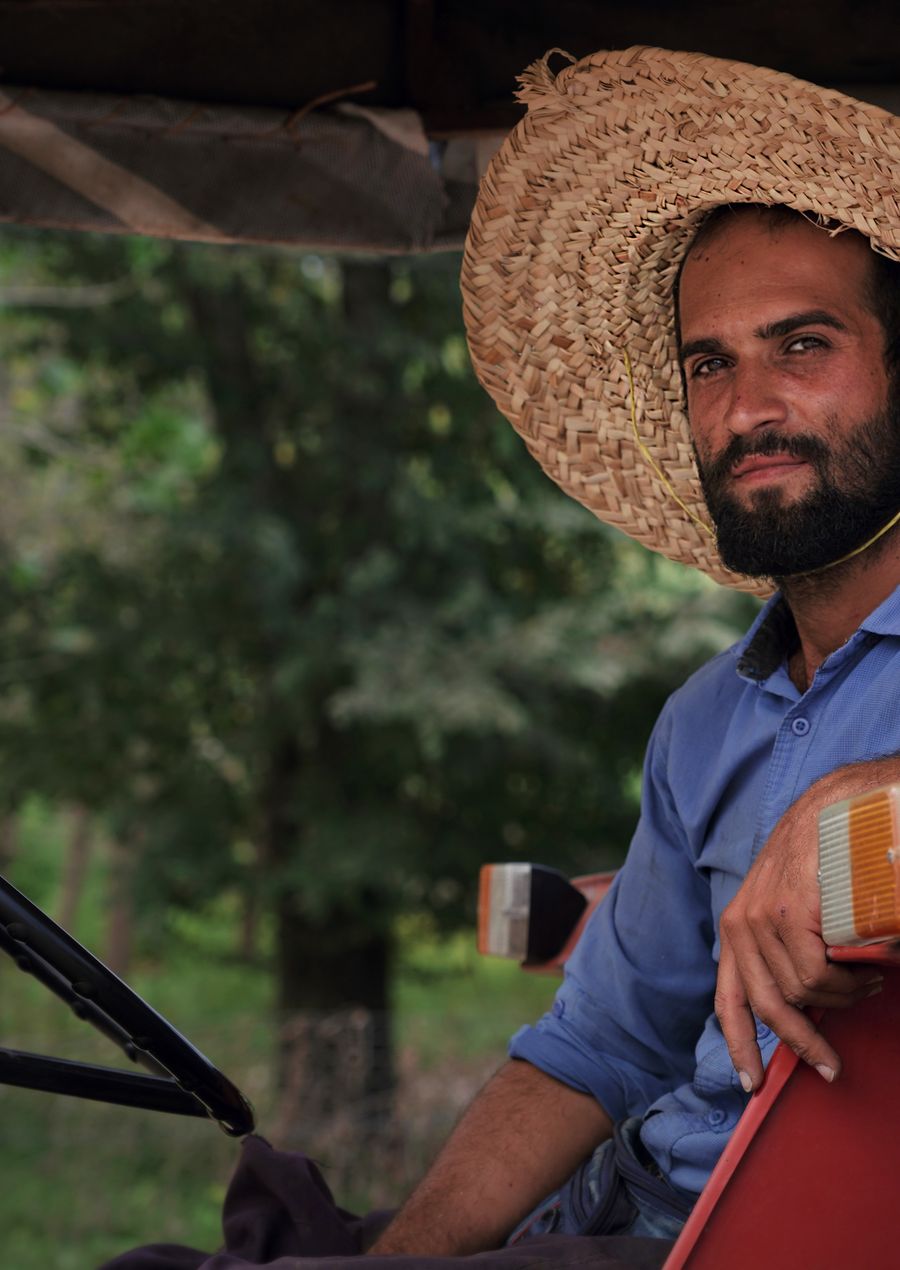Productor del campo